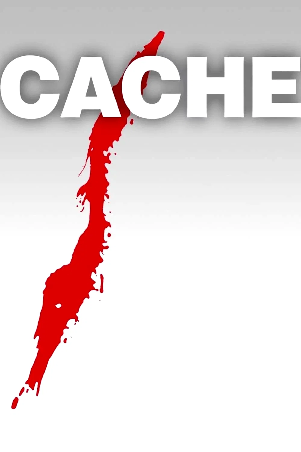 Photo 17 du film : Caché