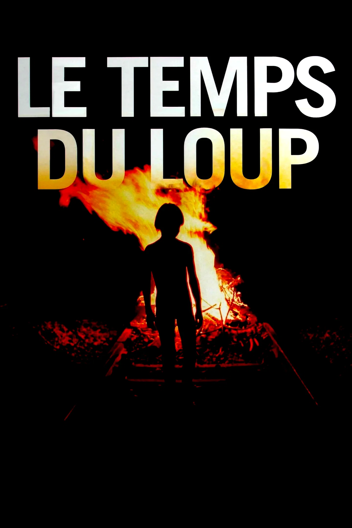 Affiche du film : Le temps du loup