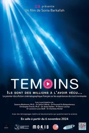Affiche du film : Témoins