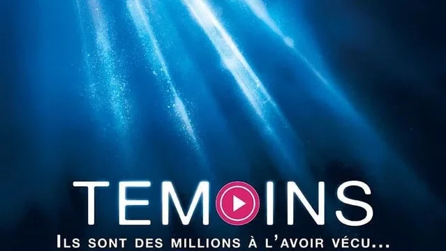 Affiche du film : Témoins