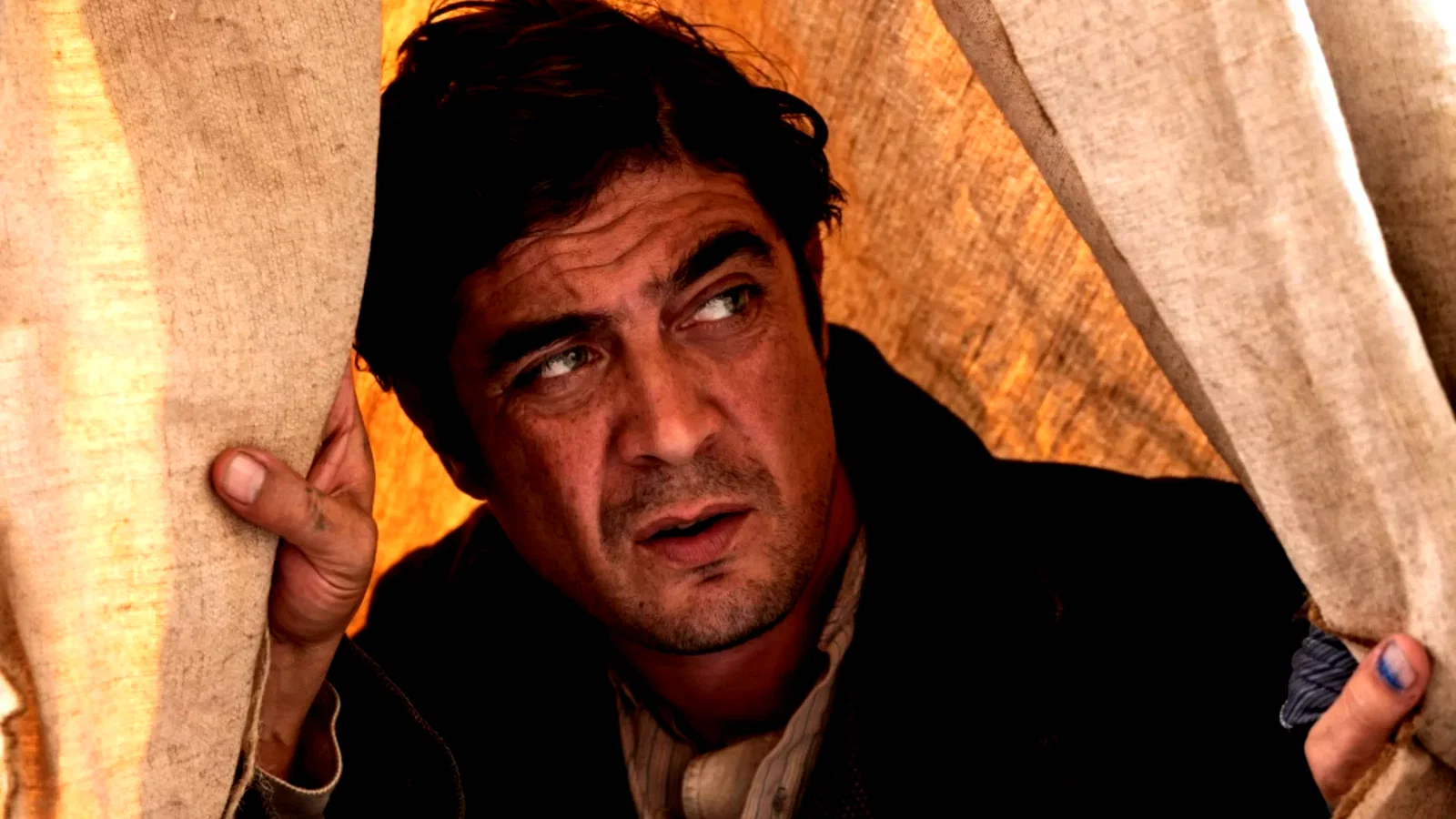 Photo du film : Modi - Three Days on the Wing of Madness