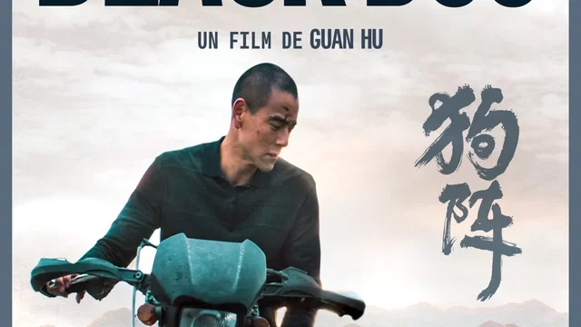 Affiche du film : Black Dog