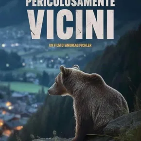 Photo du film : Gefährlich Nah - Wenn Bären Töten