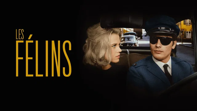 Photo du film : Les félins
