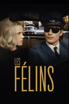 Affiche du film Les félins