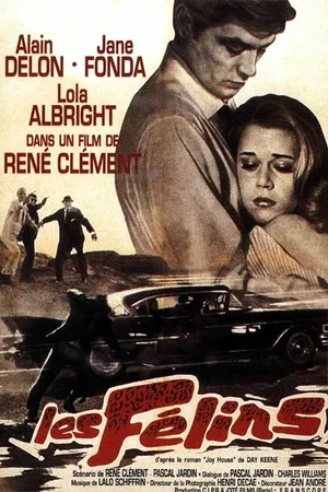 Photo du film : Les félins