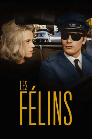 Photo du film : Les félins