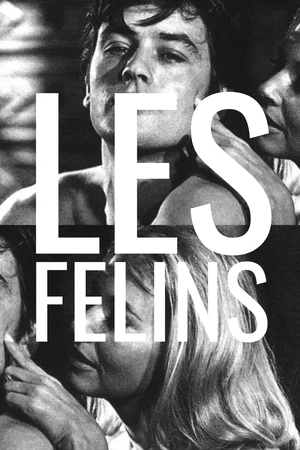 Photo du film : Les félins