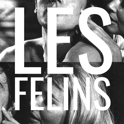 Miniature photo du film : Les félins