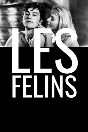 Photo du film : Les félins