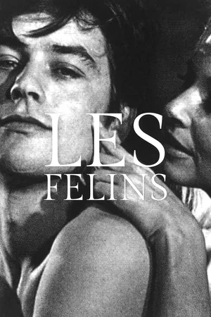 Photo du film : Les félins