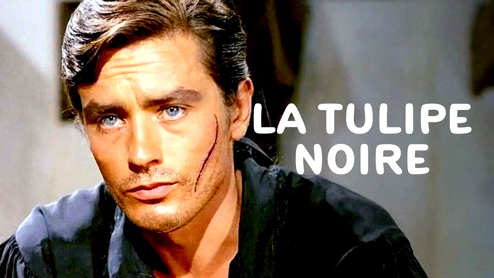 Photo 4 du film : La Tulipe noire