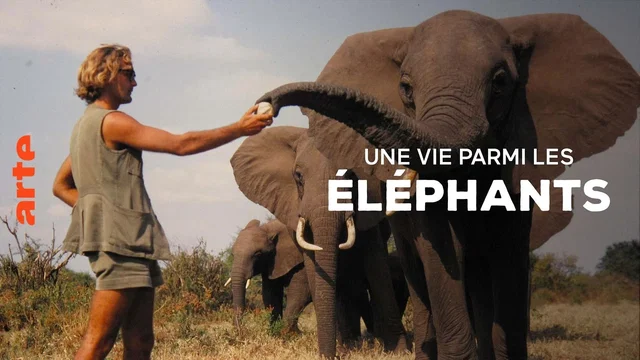 Photo 1 du film : Une vie parmi les éléphants