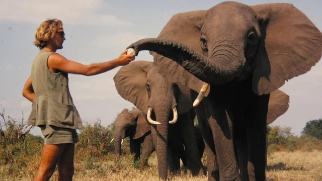 Photo 4 du film : Une vie parmi les éléphants
