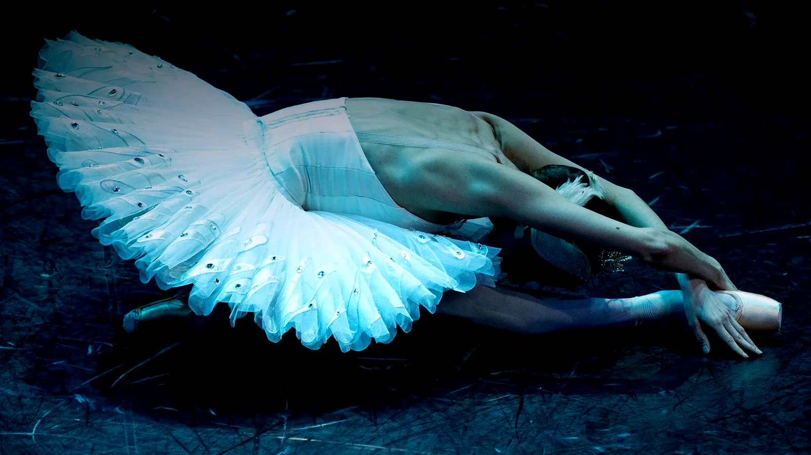 Photo 3 du film : Le lac des cygnes