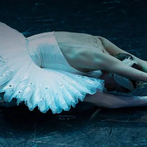 Photo du film : Le lac des cygnes