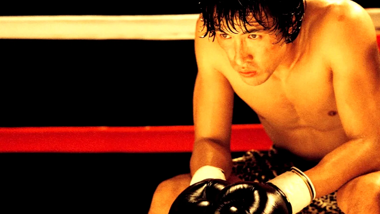 Photo 3 du film : Champion