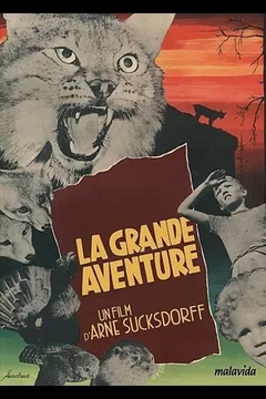 Affiche du film La Grande Aventure
