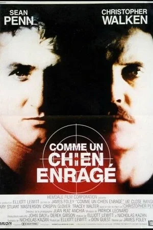 Photo 4 du film : Comme un chien enragé