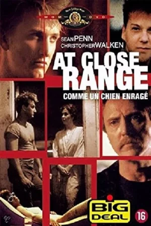 Photo 5 du film : Comme un chien enragé