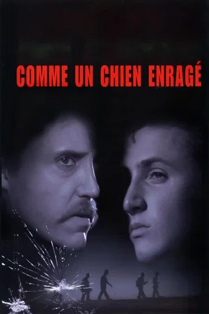 Photo 7 du film : Comme un chien enragé