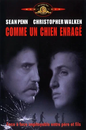 Photo 8 du film : Comme un chien enragé