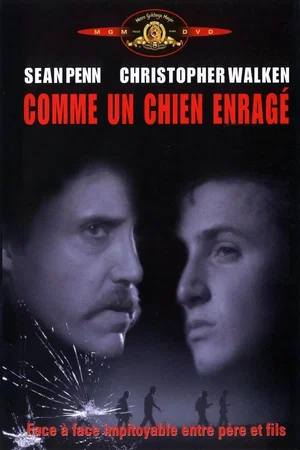 Photo 9 du film : Comme un chien enragé