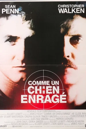 Photo 11 du film : Comme un chien enragé