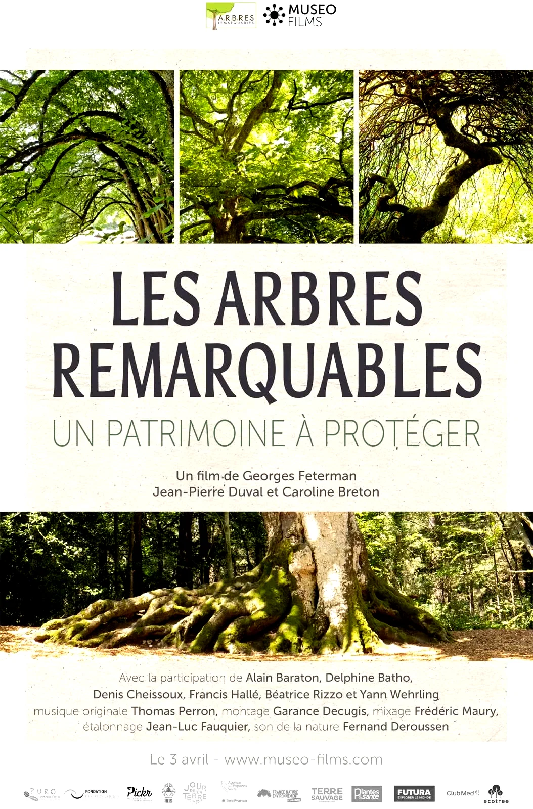 Affiche du film : Les arbres remarquables, un patrimoine à protéger