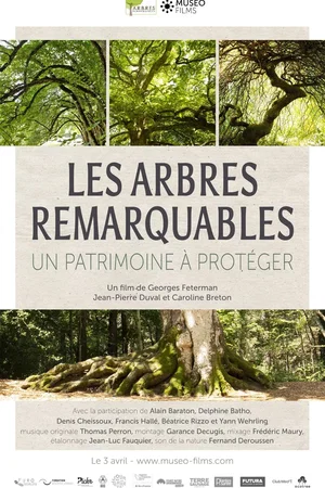 Affiche du film : Les arbres remarquables, un patrimoine à protéger