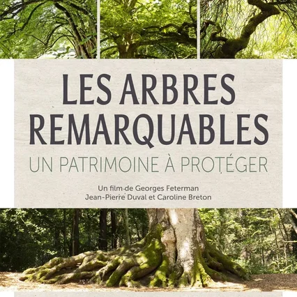 Miniature photo du film : Les arbres remarquables, un patrimoine à protéger