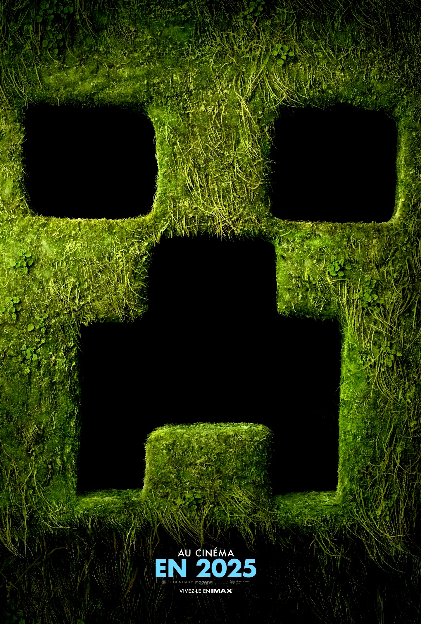 Photo du film : Minecraft, le film