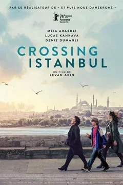 Affiche du film Crossing Istanbul
