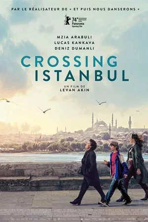 Affiche du film : Crossing Istanbul