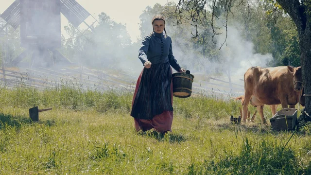 Affiche du film : Maja, une épopée finlandaise