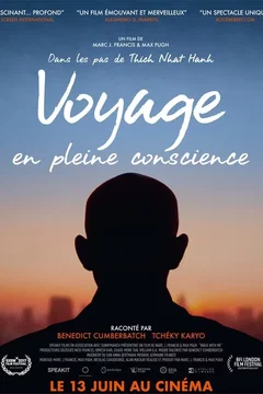Affiche du film = Voyage en pleine conscience