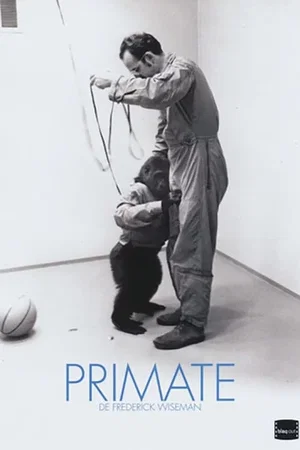 Affiche du film : Primate