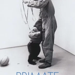 Photo du film : Primate