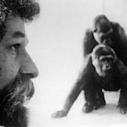 Miniature photo du film : Primate