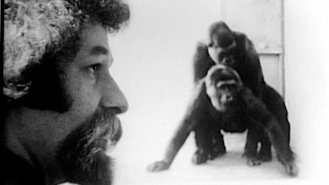 Photo 3 du film : Primate
