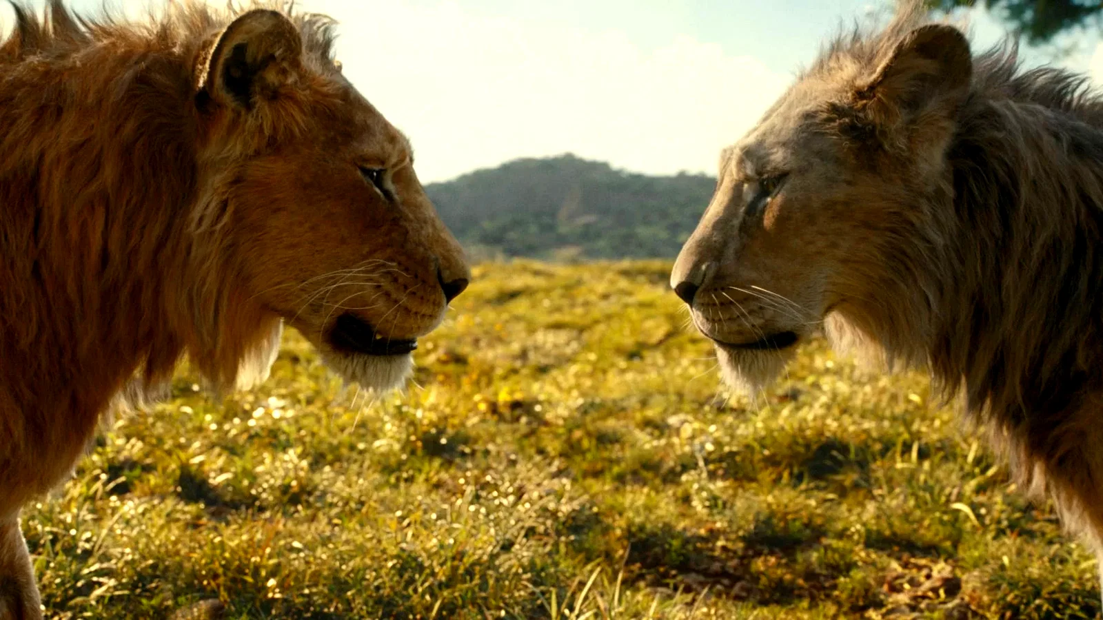 Photo du film : Mufasa : Le Roi Lion