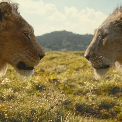 Miniature photo du film : Mufasa : Le Roi Lion