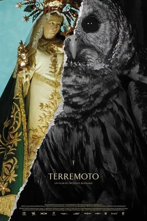 Affiche du film : Terremoto