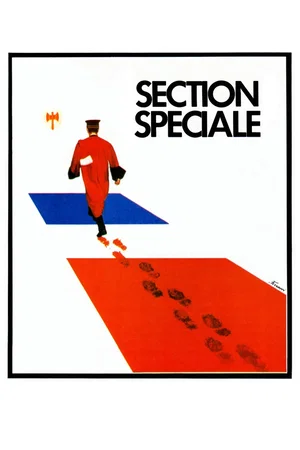 Affiche du film : Section spéciale