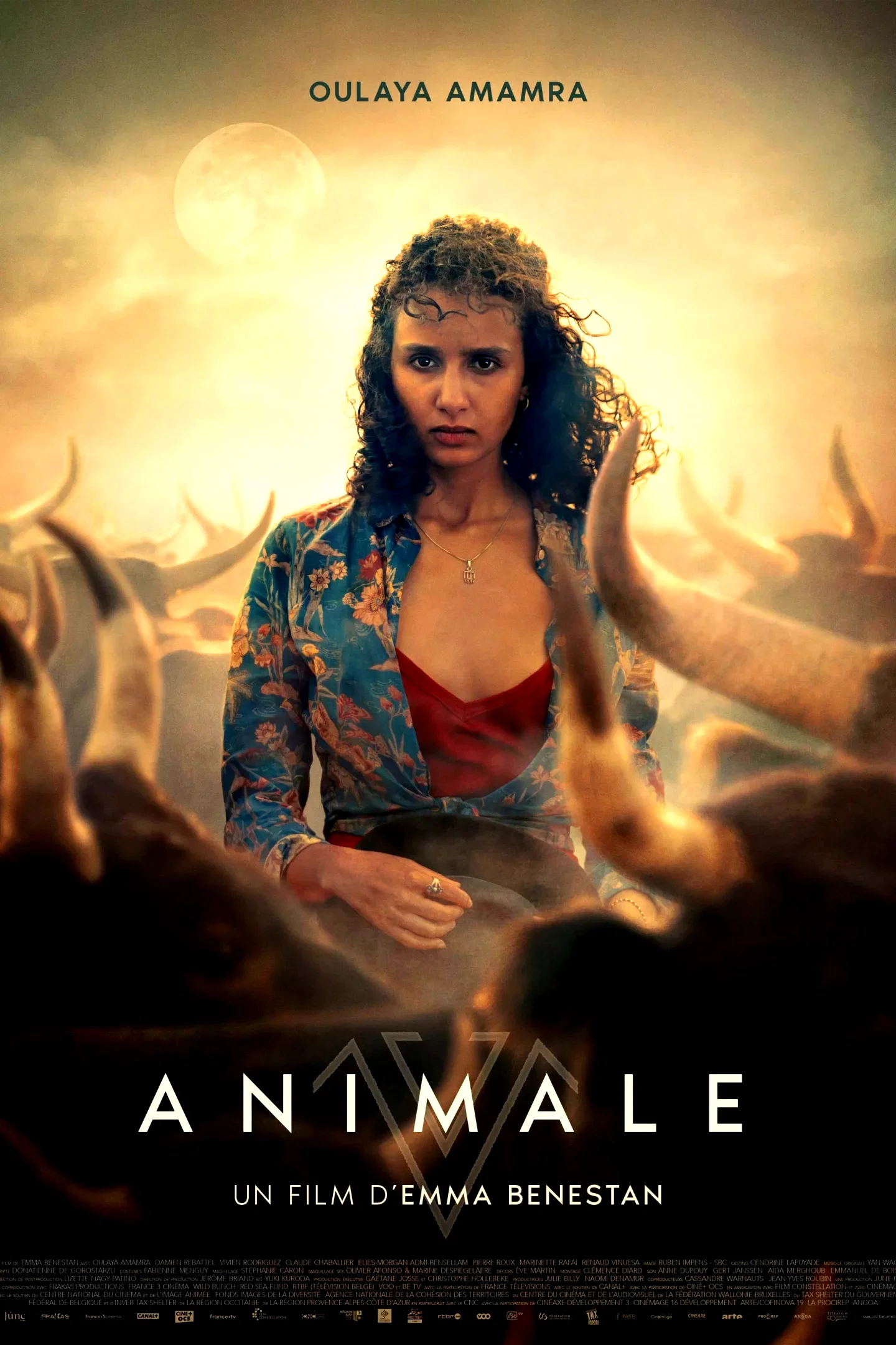 Affiche du film : Animale