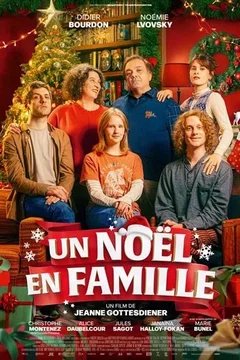 Affiche du film Un Noël en famille