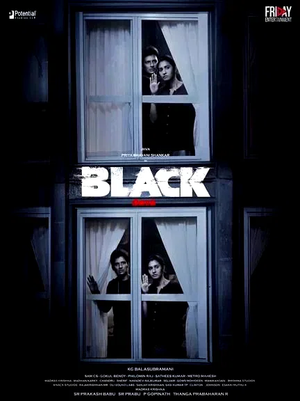 Affiche du film : Black