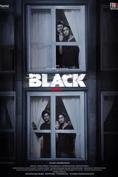 Affiche du film = Black