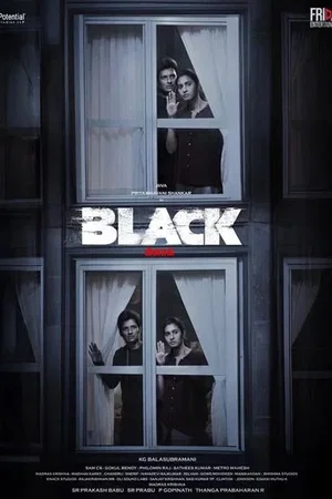 Affiche du film : Black