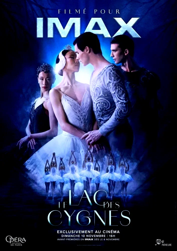 Affiche du film : Le lac des cygnes